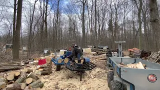 Hard Working Man 100 Sub. Give Away!Free Carbide Chainsaw Chain! Splitting some Ash. Thank You! #22