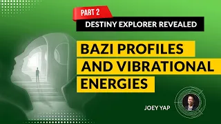 How To Use The Destiny Explorer Part 2 [The Soul, Spirit & Wealth Profiles + Vibrational Energies]