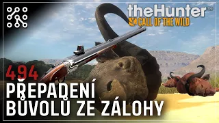 Puška přímo na buvoly | theHunter: Call of the wild CZ |  Česky