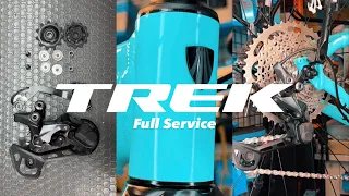 Trek Marlin Bike Full Service ASMR