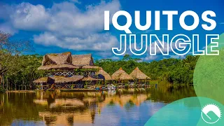 Iquitos jungle: The Heart of the Peruvian Amazon | HOWLANDERS