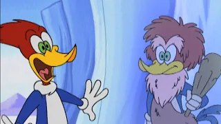 Two Woodpeckers!! | Woody Woodpecker | Cartoons for Kids | WildBrain - Kids TV Shows Full Episodes