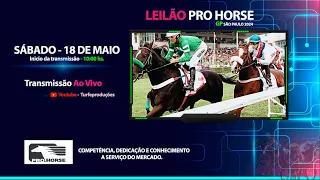 BANCO DE VÍDEOS - LEILÃO PRO HORSE - 18/05/2024 AS 10:00 HS
