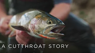 IDFG Presents | A Cutthroat Story