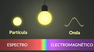 ¿Por qué las plantas son verdes? Fotones y el espectro electromagnético | Animación | Hidden Nature