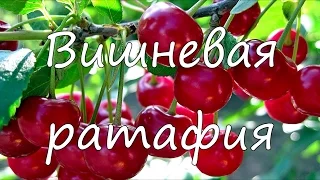 Вишневая ратафия.