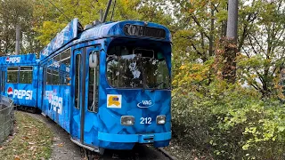 Freiburger❤️ Straßenbahn Duewag 🚋GT8 fährt im 🍁Herbst auf der Linie 1🌲 Schwarzwald🇩🇪￼