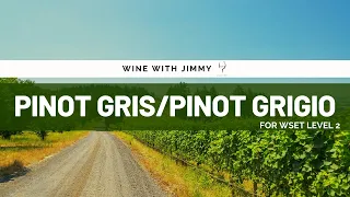 Key Grape Varieties - Pinot Gris/Pinot Grigio Beginner's Version for WSET Level 1 and WSET Level 2