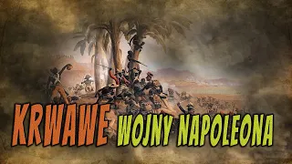 Napoleon's bloody wars