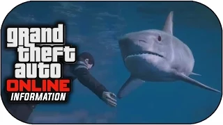 GTA 5 Online ANIMALS Shark FOUND! - Animals Spawning Online ! (GTA V Gameplay)