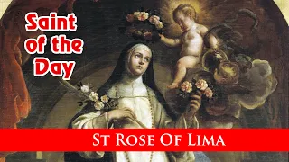 St Rose Of Lima - Saint of the Day with Fr Lindsay - 23 August 2022