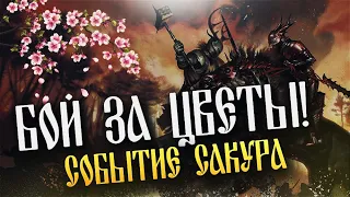 БОЙ ЗА ЦВЕТЫ САКУРЫ. Clash of Kings