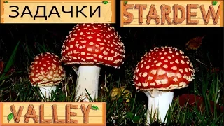 Секреты Stardew Valley. Как открыть пустыню первой весной?