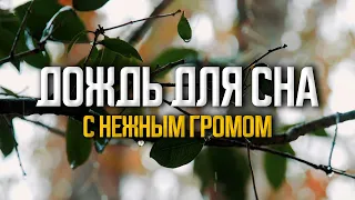 Мелодии Для Глубокого Сна и Релаксации. Звук Дождя и Раскаты Грома.