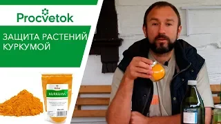 УНИКАЛЬНЫЙ экстракт для томатов и огурцов!