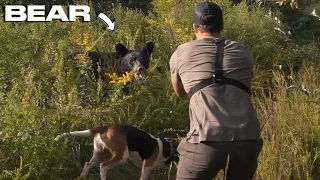 EXTREMELY CLOSE TO A BEAR!!! - Bear Hunting With Hounds