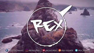 Whitney Houston - How Will I Know (Luca Bootleg) 👑 Rex Sounds