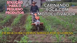 TRATORITO CAPINANDO ROÇA. VEJA COMO FICOU.