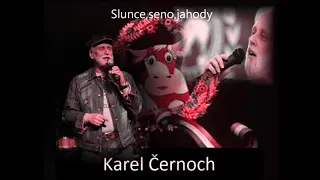 Slunce , seno , jahody -  Karel Černoch