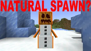 Naturally Spawning SNOW GOLEMS!?