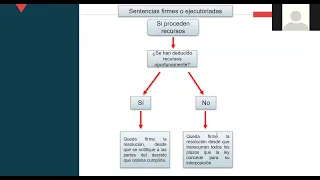 Clase 13: Resoluciones judiciales