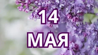 14 мая День фрилансера и другие праздники