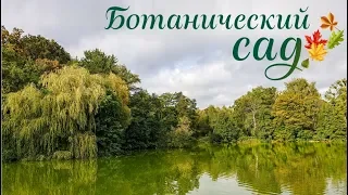 Осень в Калининграде 2019, Ботанический сад