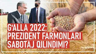 G‘alla 2022: Prezident va VM qarorlari yana to‘liq ijro etilmadi