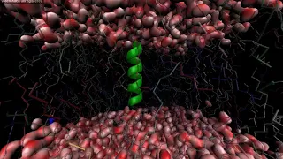 GROMACS Modeling: Membrane Protein -  KALP15 in DPPC (in 1 ns)