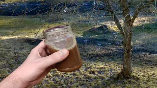 Яблоня плодоносит каждый год, даже фермеры завидуют, делюсь секретом повышения урожайности яблок!