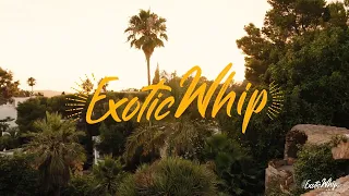 ExoticWhip - Become a distributor
