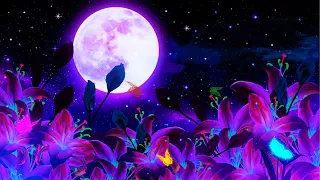 Peaceful Night 💜 Calm Magic Sleep Music | Deep Sleeping 528Hz | Healing Meditation Music