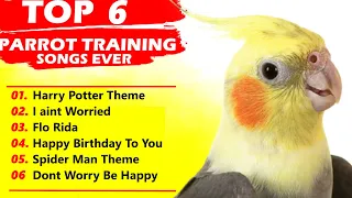 Cockatiel Singing 6 Song Training-For Budgies Parrots Birds