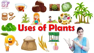 Uses of plants | Plants uses | Plant give us | Uses plants for kids | Plants and their uses#sasufun