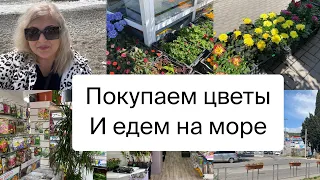 Влог/ Купили цветы и едем с Жозефиной на море/ пляж Гренада Лазаревское/ люди уже загорают +25