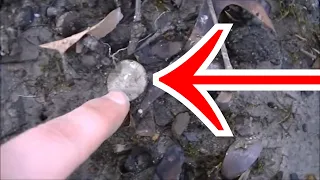 HE SAID YES! Metal Detecting So Many Old Coins They're Even On The SURFACE!