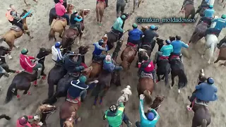 Керме де кокпар Толик палуанда кетти. Елді шулатқан Толик палуан