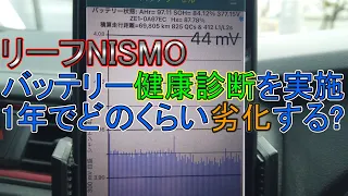 【検証】日産リーフNISMOのバッテリー健康診断