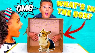 Mystery Box Challenge | What's In The Box?