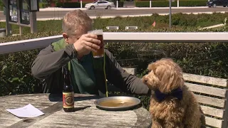 The MOST pet-friendly town on the Washington coast - KING 5 Evening