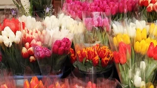Сколько стоят цветы к 8 марта в Харькове