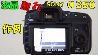 【ジャンク】2200円 SONY A350買ったら液晶割れてた 動作検証・作例動画