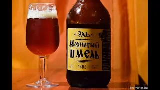 ВАРИМ ПИВО "ЭЛЬ-МОХНАТЫЙ ШМЕЛЬ" на iBrew 40 auto+ДЕГУСТАЦИЯ ПИВА "ПОРТЕР"#13