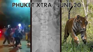 Taxi drivers brawl, Tigers rescued as Phuket Zoo closes, Drug smuggler caught || Thailand News