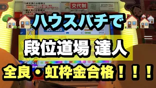 2022 達人 ハウスバチ全良・虹枠金合格