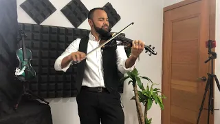 Hawai- Violin Cover