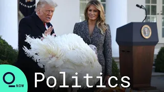 Trump Pardons National Thanksgiving Turkey 'Corn' at the White House