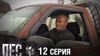 Сериал Пес - 12 серия