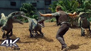 Jurassic World (2015) - "Stand Down" Scene (1/14) | SuperClips [4K]