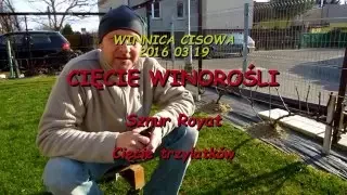 WINOROŚL - Cięcie winorośli Royat (cięcie trzylatków) - Winnica Cisowa 2016 03 20